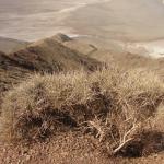 Death Valley - Dante's view